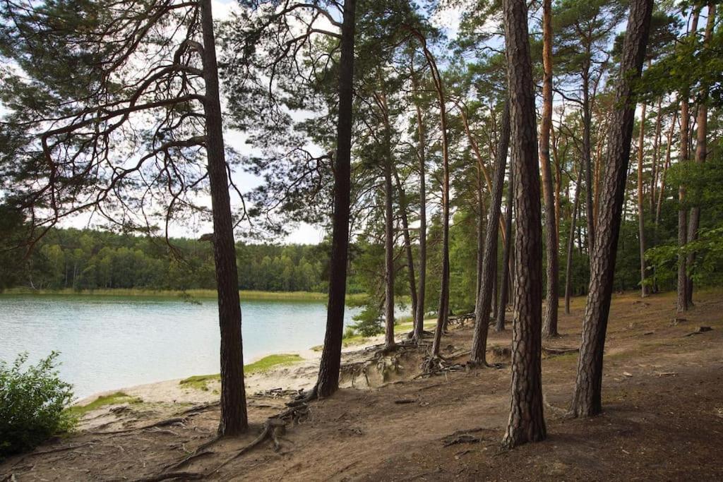 Kaminsko By Latowisko - Puszcza Zielonka Villa Eksteriør bilde